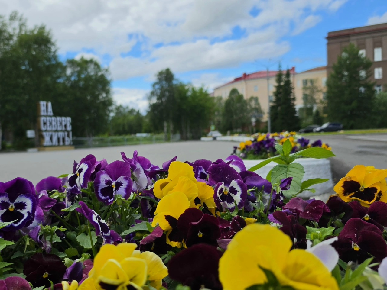 7 июля - 60 лет Апатитам — основное изображение новости